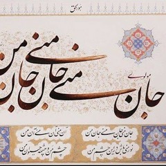 جان منی- سینا سرلک