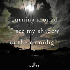 Moonlight Shadow (naviarhaiku526)
