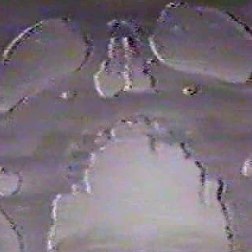 uptown cc baby (flip by mobzero)