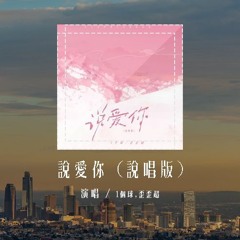 1个球,歪歪超 - 说爱你 (说唱版)「直到确定手的温度来自你心里，这一刻我终于勇敢说爱你」(4k Video)【動態歌詞/pīn yīn gē cí】#1个球 #歪歪超 #说爱你 #動態歌詞