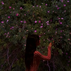 ROSEHIP