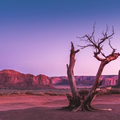 54 - The Cumulative Effects of Stress and Setting Yourself Free to Heal