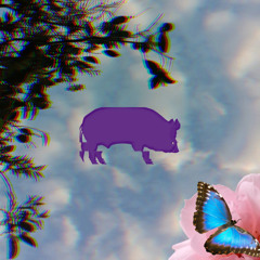 STBB#965 "FLYINPORK"