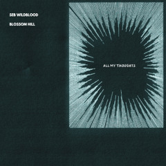 2025-11-13 - ALL MY THOUGHTS LABEL TAKEOVER - SEB WILDBLOOD