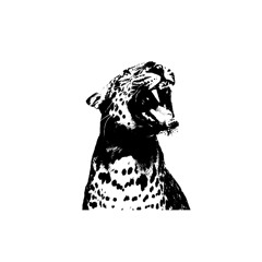 ruin my fun (5kjordn)