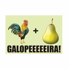 XXxx GALOPEIRA - ( DJ CR DO 80 ) REMIX