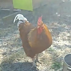 기계오류