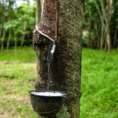 [Tekno] Tribe - Acid Tribe - Mental