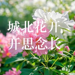 山间小路