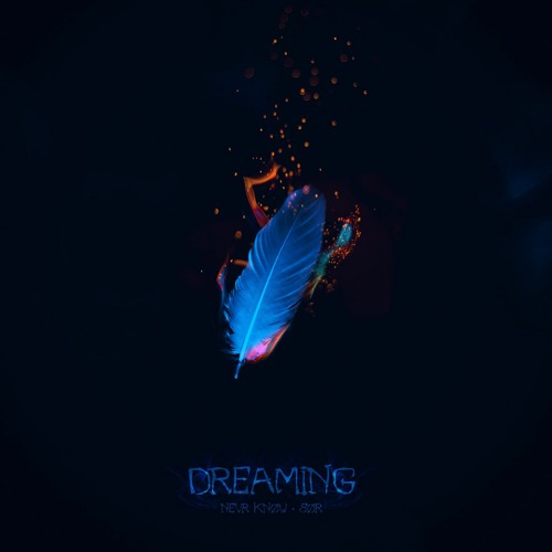 NEVR KNØW & SØR - Dreaming