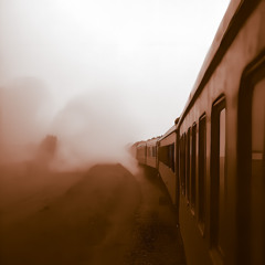 5 - Where Is Home In This Broken Land?