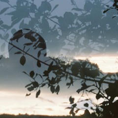 No Code w/ Leif: 12th January '26