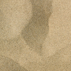 Dune