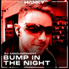Hanky Red 2 Bday - Salon - Bump In The Night DJ mix artwork - Electronic music tracklist cover image