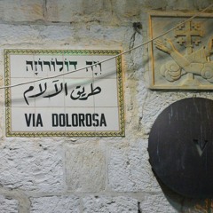 «كُلُّ قلقٍ فَردِيٍ مَردُّه في آخرِ المطافِ إلى قلقٍ كونيٍ.»