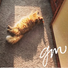 greg mcgowan - atlantic city