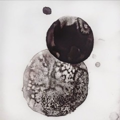 Salt & Oil