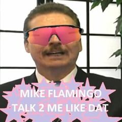 Mike Flamingo - Talk 2 Me Like DAT