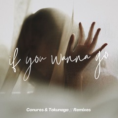If You Wanna Go (Tokunaga Remix)