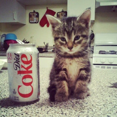 cola (ft. druc) prod.mj