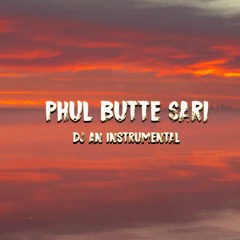 Phul Butte Sari ( Instrumental Cover ) - DJ AN