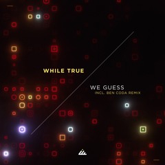 While True - We Guess (Original mix)