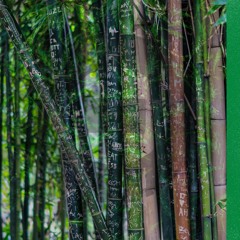 Bamboo Palace