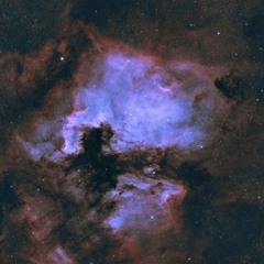 Let Love In (Flamingo Peralta Session)