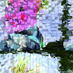 Wolldrapper Hankes_To remember: Wolldrappers Hymn (M+T:KR 2012)