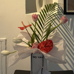 ‎⁨سورة المرسلات بلال دربالي ⁩