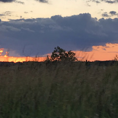 On N' On (p. johnny friend)