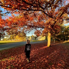 ｡･ﾟ’☆‘ﾟ･｡ autumnal reveriie  ｡･ﾟ’☆‘ﾟ･｡ // fall dnb miix '23