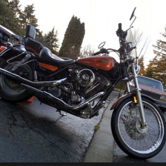 Levis & Harley Shirts