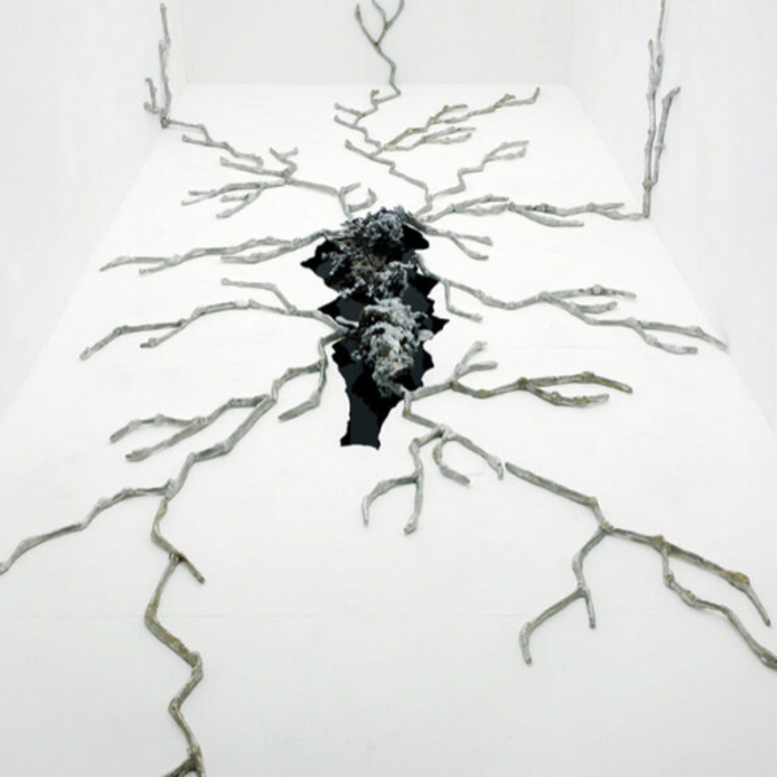 [Passages] Interview de Morgane Jouvencel et Anne Peltriaux - Exposition "Genestra : seuil d'une photosynthèse tellurique" episode artwork