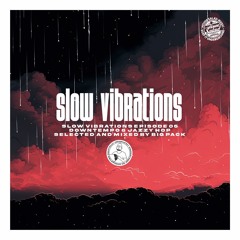 Big Pack | Slow Vibrations 05 [Downtempo Mix]
