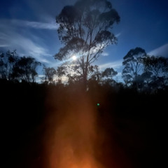 Stillness in Motion
