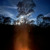 Artwork for Stillness in Motion