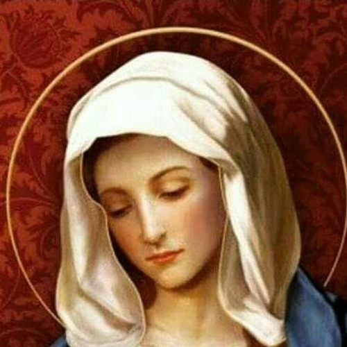 *La Reflexión del día* "Jesús nos salva por intercesión de María Santísima "