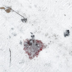 dead end (zeromandia naggens)