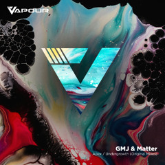 PREMIERE: GMJ & Matter - Apex [Vapour Recordings]
