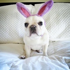 fuckin up prod bbuggin