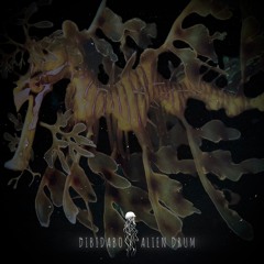 DIBIDABO - Alien Drum (Original Mix)