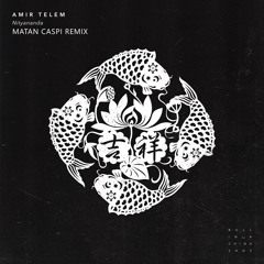 Amir Telem - Nityananda (Matan Caspi Remix) [Bull In A China Shop]