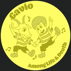 PREMIERE: Gavio - Right Down Through The Unknown [Lisztomania Records]