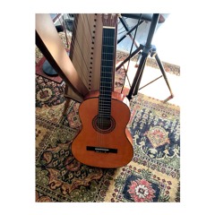 Lockdown Learning Curve