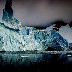 Arctic Fever (sparC+ Eco Mix)