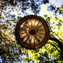 Melifera Podcast ⬢ Todd