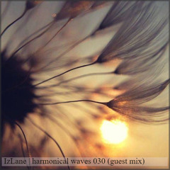 harmonical waves 030 (guest mix)