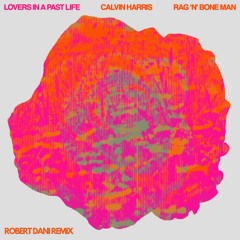 Lovers In A Past Life (Robert Dani Remix)