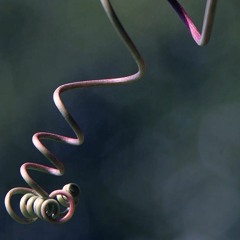 Tendrils